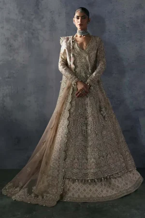 Afrozeh Emilia Formal Dress in Bangladesh