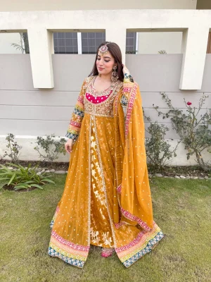 Haseens Official Sahiba Party Dress in Bangladesh