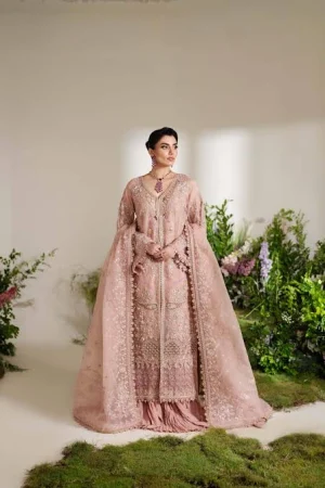 Zoya & Fatima Angel Party Dress in Bangladesh