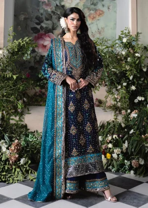 Haseens Official Mobina Party Dress in Bangladesh