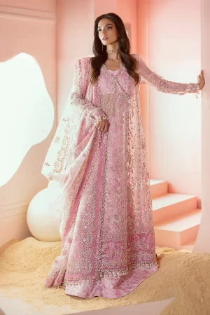 Ayzel Bella in Bangladesh Pink Organza Formal Dress
