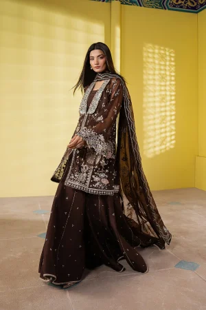 Ayzel Emberlyn in Bangladesh Brown Organza Wedding Dress
