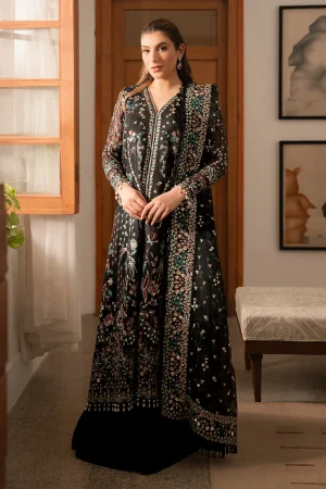 Ayzel Fleur in Bangladesh Black Organza Formal Dress