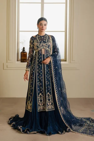 Ayzel Lunara in Bangladesh Navy Blue Organza Dress